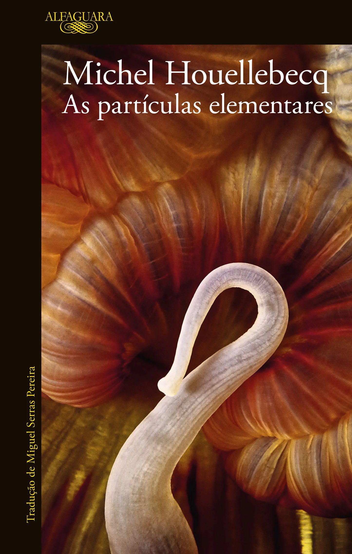 As partículas elementares (1998)